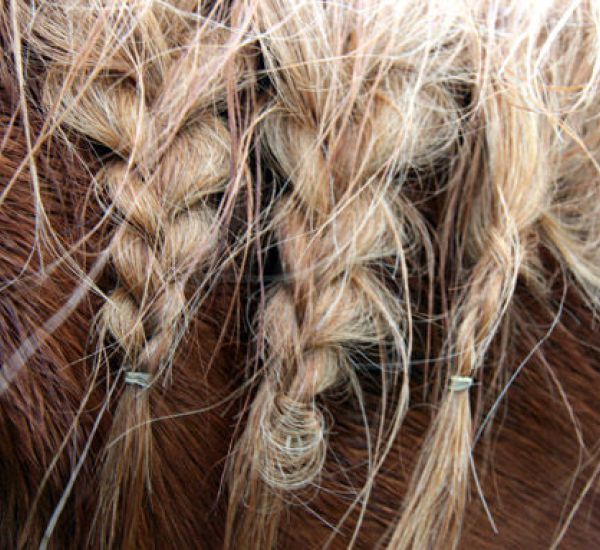 HORSE HAIR